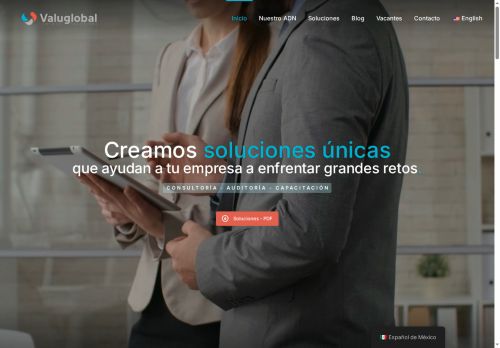 valuglobal.consulting capture - 2025-05-23 03:17:41
