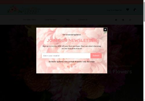 sevenstarsflowers.com capture - 2025-05-23 05:34:06