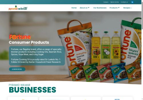 pyramidwilmar.com capture - 2025-05-23 07:16:19