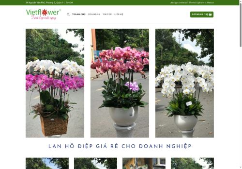 chauhoalan.com capture - 2025-05-23 07:26:58