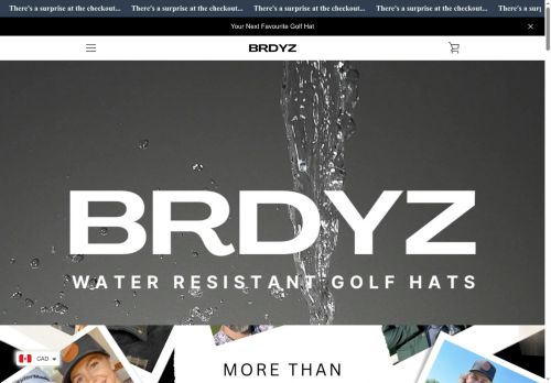 brdyz.com capture - 2025-05-23 09:10:14