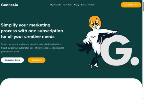 Gannet capture - 2025-05-23 19:16:51