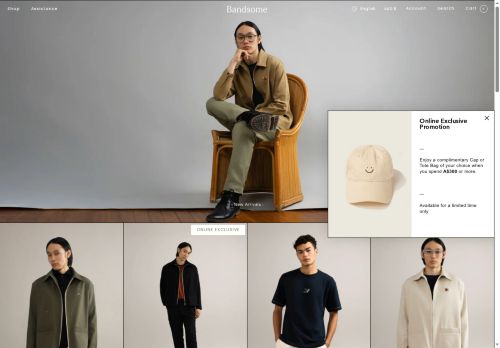 bandsome.com capture - 2025-05-23 19:29:55