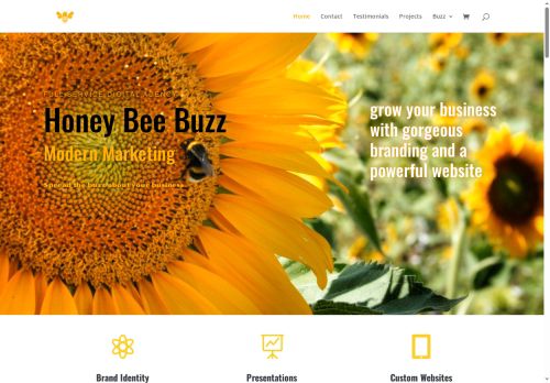 honeybeebuzz.marketing capture - 2025-05-23 19:44:37