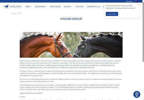 hygaingroup.com capture - 2025-05-23 20:46:28