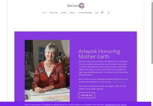 suelion.com capture - 2025-05-23 20:56:27