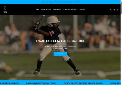 Tag Swag capture - 2025-05-24 03:06:38