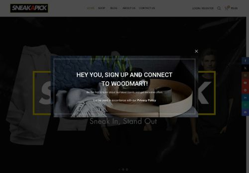 SneakAPick capture - 2025-05-24 03:22:48