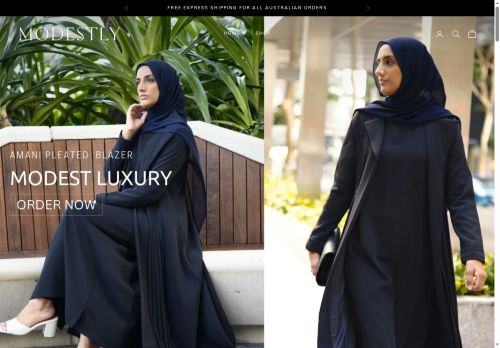 Modestly capture - 2025-05-24 03:24:46