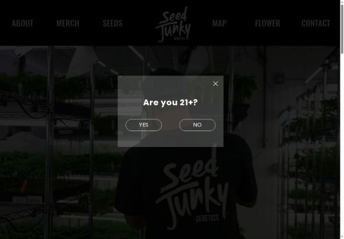 Seed Junky capture - 2025-05-24 03:52:34