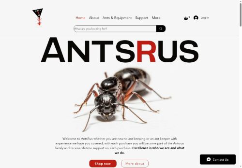 Antrus capture - 2025-05-24 04:11:35