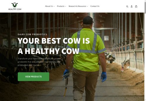 Healthy Cow capture - 2025-05-24 04:15:20