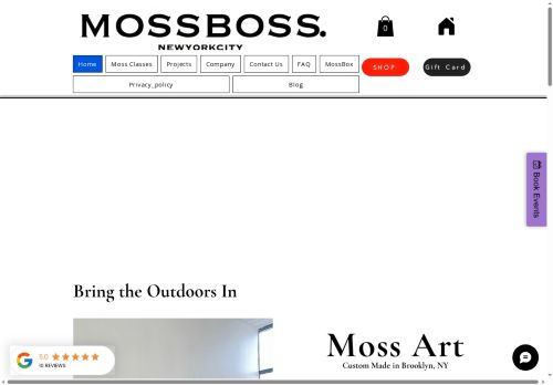 MossBoss NYC capture - 2025-05-24 04:25:20