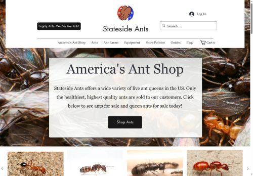 Stateside Ants capture - 2025-05-24 04:34:42