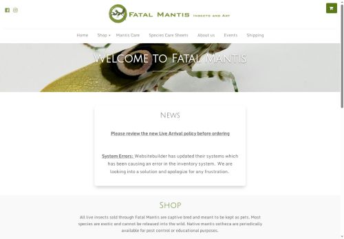 Fatal Mantis capture - 2025-05-24 04:35:53