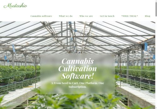 Mustashio capture - 2025-05-24 05:02:44