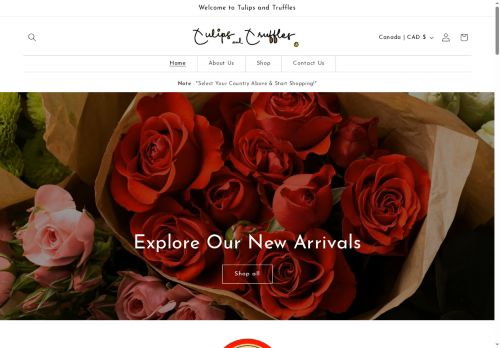 Tulips and Truffles capture - 2025-05-24 05:25:11