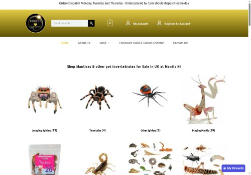 Mantis N.I capture - 2025-05-24 05:39:00