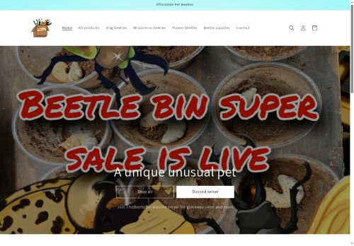 THEBEETLEBIN capture - 2025-05-24 05:42:34