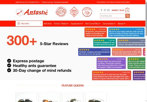 Antastic capture - 2025-05-24 05:43:28