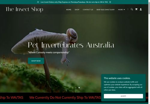 The Insect Shop capture - 2025-05-24 05:46:33