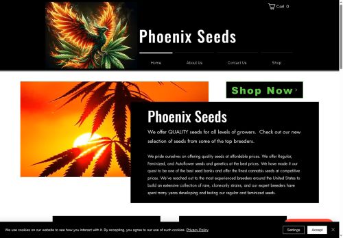 Phoenix Seeds capture - 2025-05-24 05:50:39