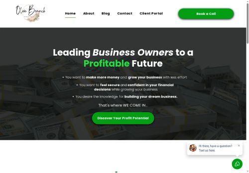 Olive Branch Bookkeeping capture - 2025-05-24 05:59:58