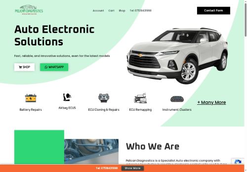 pelicandiagnostics.uk capture - 2025-05-24 06:27:21