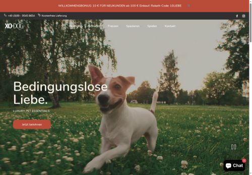 xo-dog.com capture - 2025-05-24 08:05:40