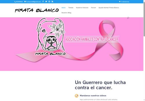 aaccpiratablanco.com capture - 2025-05-24 11:49:43