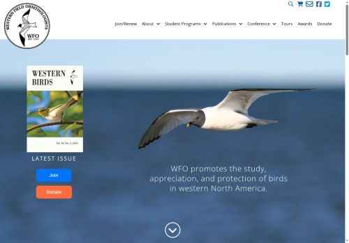 westernfieldornithologists.org capture - 2025-05-24 22:49:08