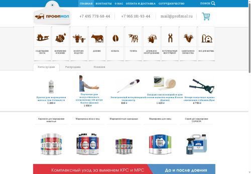 profimol.ru capture - 2025-05-25 01:18:15