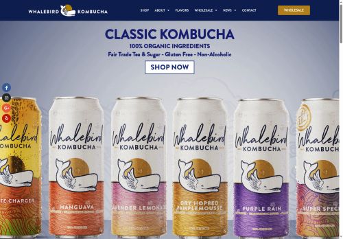 Whalebird Kombucha capture - 2025-05-25 03:43:47