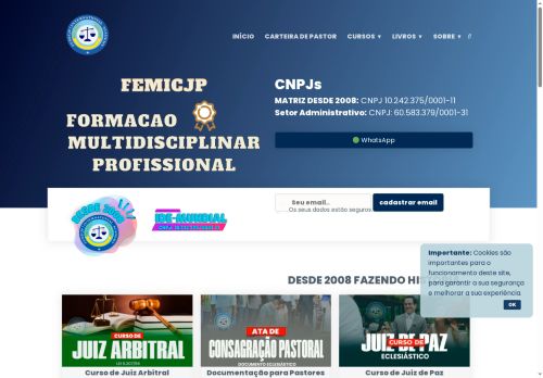 femicjp.com capture - 2025-05-25 04:55:18