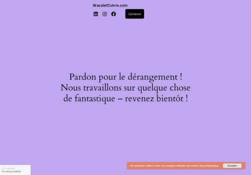 braceletcuivre.com capture - 2025-05-26 05:16:41