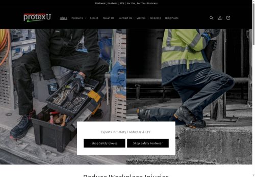 protexu.co.uk capture - 2025-05-26 06:39:06