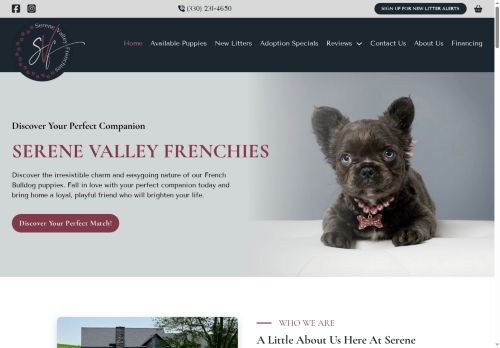 serenevalleyfrenchies.com capture - 2025-05-26 09:51:40