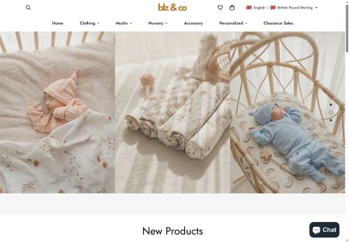 blzandco.com capture - 2025-05-26 15:45:04