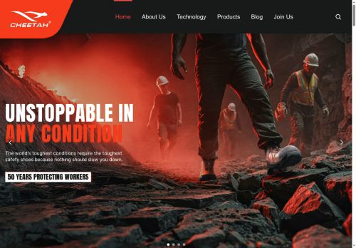 cheetahsafety.com capture - 2025-05-26 16:00:37