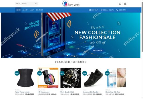 bizzyetu.com capture - 2025-05-26 19:26:57