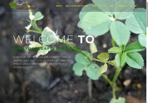 realfourleafclover.com capture - 2025-05-26 19:42:19