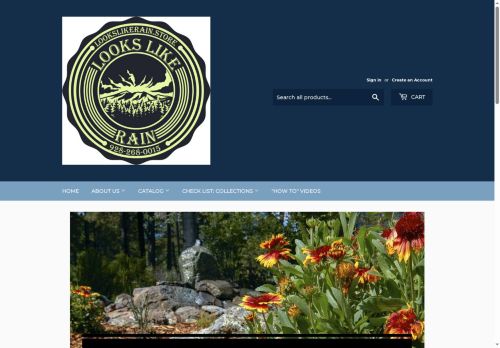 lookslikerain.store capture - 2025-05-28 09:17:26