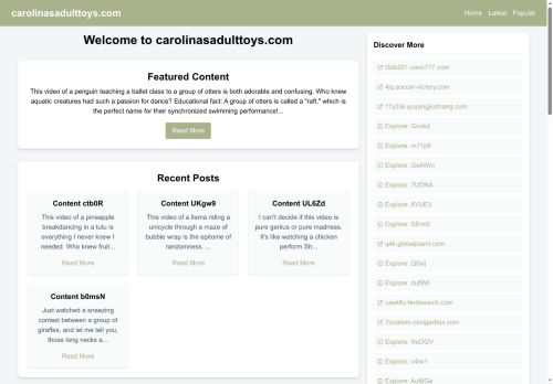 carolinasadulttoys.com capture - 2025-05-28 09:30:00
