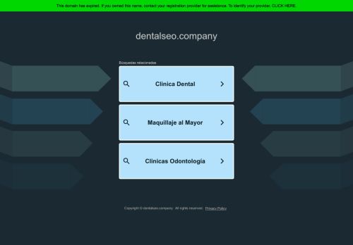 dentalseo.company capture - 2025-05-28 11:39:30