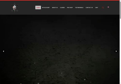 strategicdynamicsllc.com capture - 2025-05-28 11:45:44