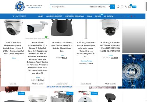 tecsecmty.com capture - 2025-05-28 12:12:40