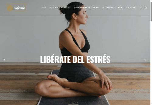 sielcare.com capture - 2025-05-28 21:29:26