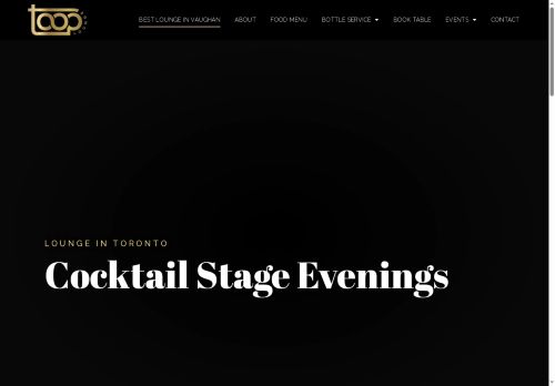 tooplounge.com capture - 2025-05-28 22:58:23