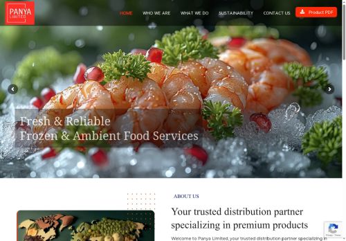 panyaltd.co.uk capture - 2025-05-28 23:17:17