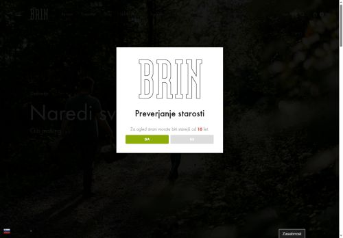 ginbrin.com capture - 2025-05-28 23:17:17